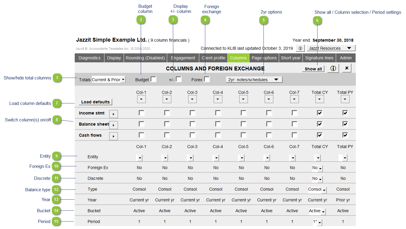 9 Column Statements with Budget Column