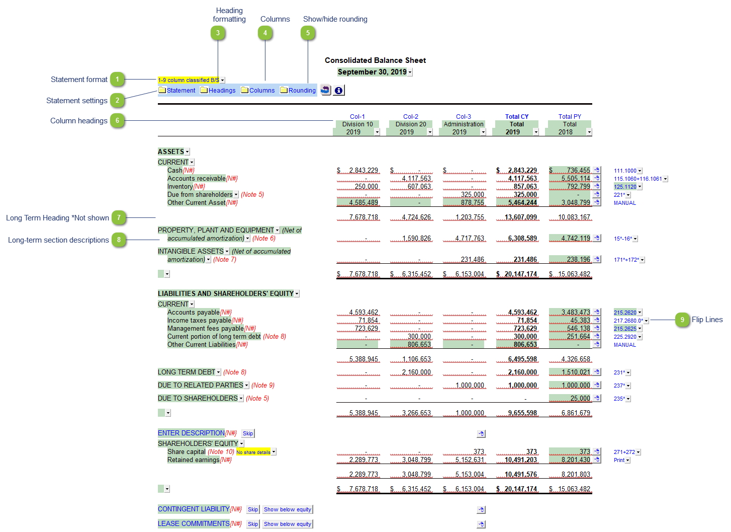 Balance Sheet (9-column Statement Format)