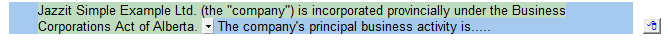 5. Comments (input paragraphs)