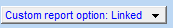 5. Custom report option