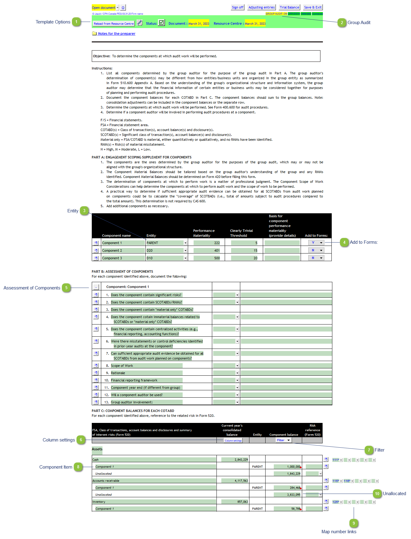 Engagement scoping - Group Audit (590.600)