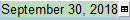2. Date input cell