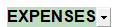 19. Empty Sections will Print when set to collapse to one line