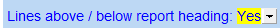 2. Lines above / below report heading