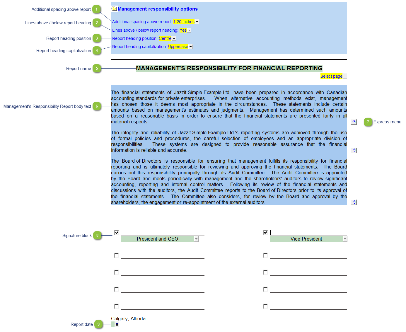 Management's Responsibility Report