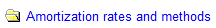 14. Amortization rates and methods