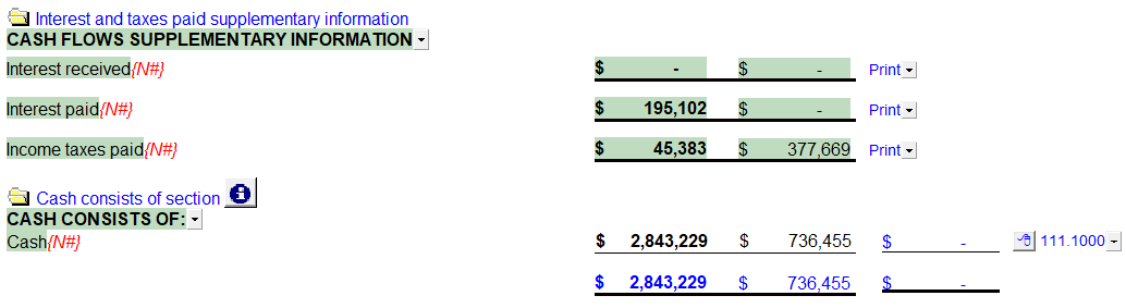 20. Other cash flow items