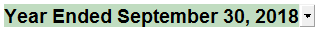 3. Statement year-end date