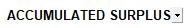 8. Accumulated Surplus