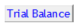 5. Trial Balance