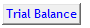 5. Trial Balance