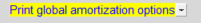 17. Print global amortization options