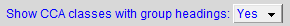 16. Show CCA classes with group headings