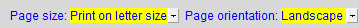 2. Page size/ Page orientation