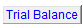 7. Trial Balance