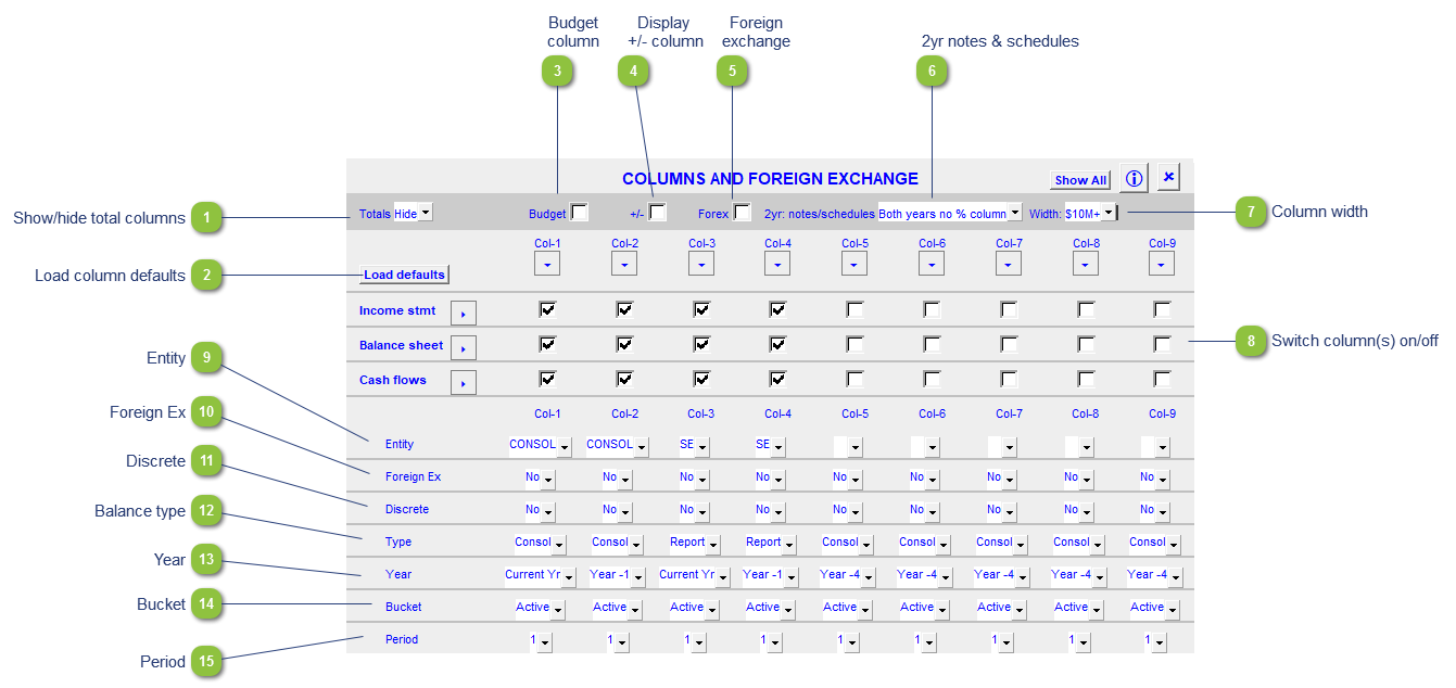 Using the 9 column financials statements format for consolidations