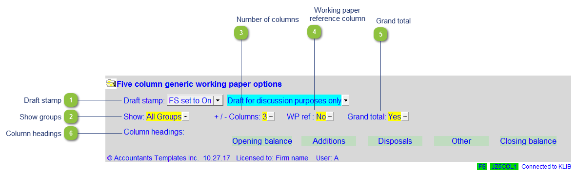Working Paper Options