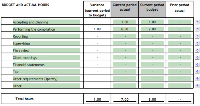 5. Budget and Actual Hours
